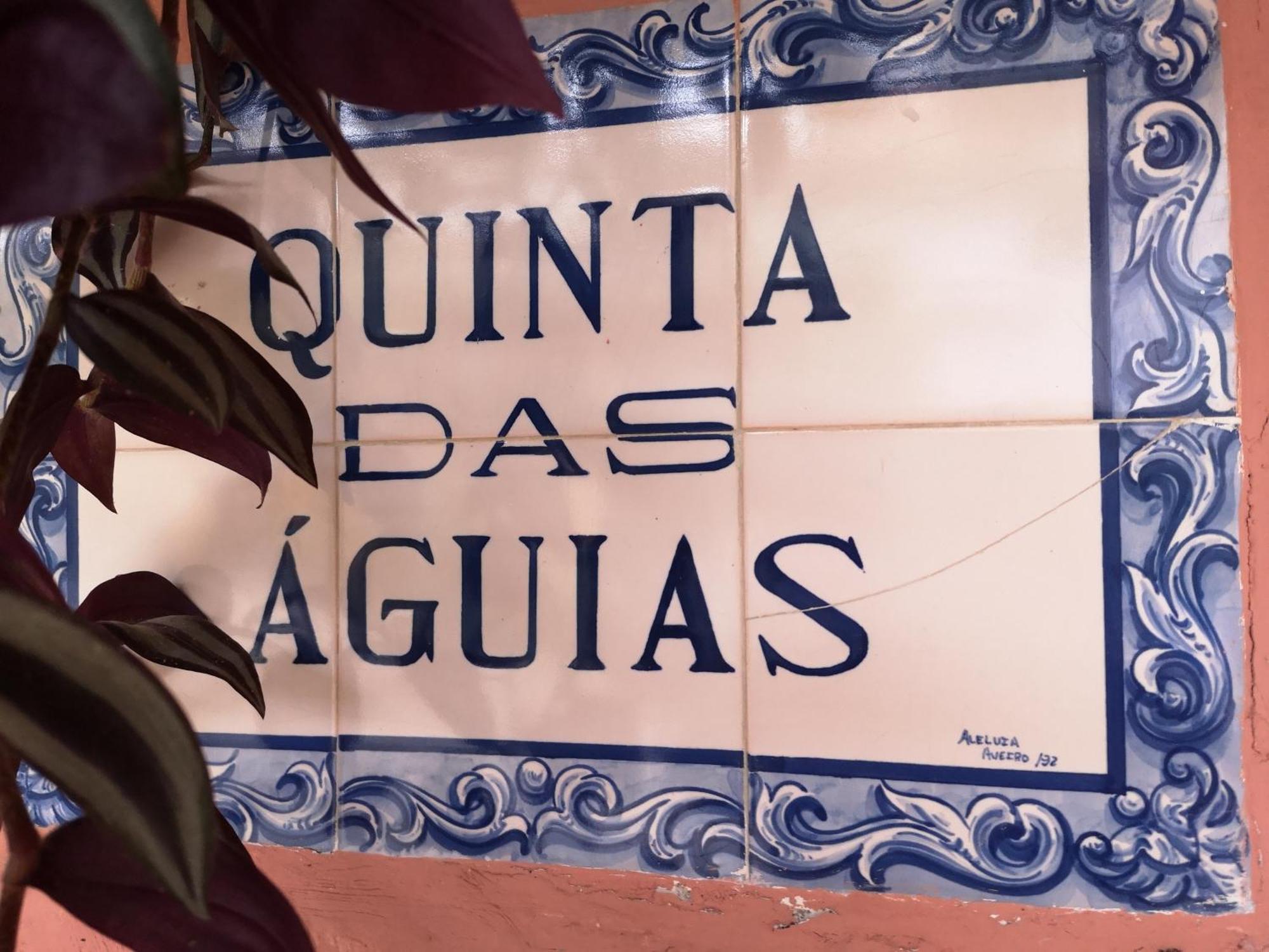 Quinta das Águias Aveiro Exterior foto