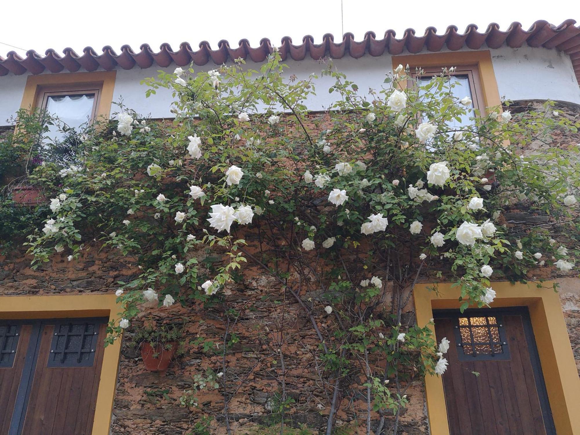 Quinta das Águias Aveiro Exterior foto